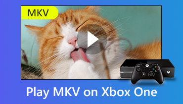 Xbox OneでMKVビデオファイルを再生する